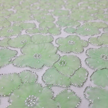 Load image into Gallery viewer, Embroidered Beaded Lace Apparel Fabric By The Yard Sheer Floral Apple Green
